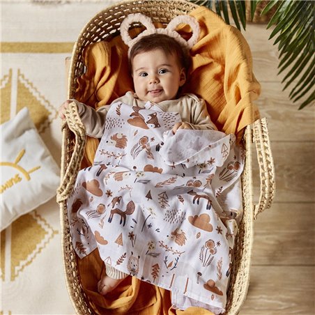 Bennet Muslin Cover Set Size 65X65 | Enplus Home