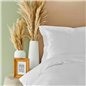 Back To Basic White Duvet Cover Set Single Size - Single Size