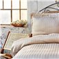 CHARM BOLD BEIGE SATEN DUVET COVER SET QUEEN SIZE - QUEEN SIZE