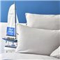 Nau Pruva Grey/Navy Blue Df Duvet Cover Set Queen Size - Queen Size