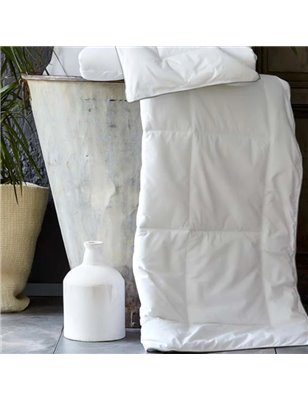 Basic Fitted Sheet - Double - Double Size | Enplus Home