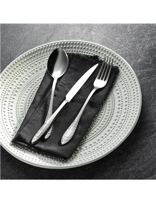 Schafer Loitz Cutlery Set-36 Pcs.-(Xxx09)